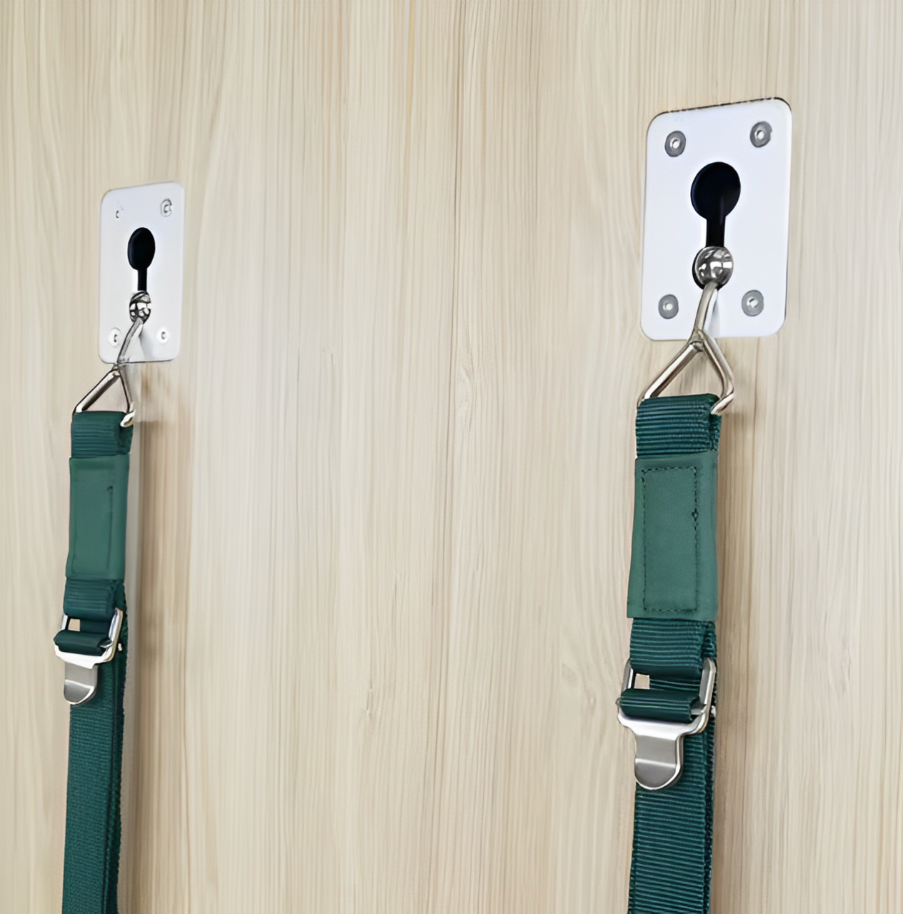 A securely mounted Iyengar Yoga Wall Rope system, designed for deep stretching and alignment-based yoga practice. The durable wall-mounted anchors and adjustable straps provide support for inversions, backbends, and strength-building poses, enhancing flexibility and stability in yoga sessions.
